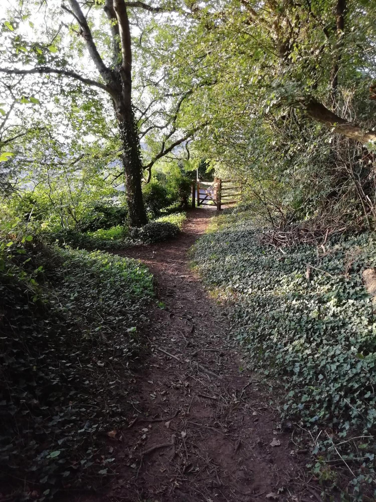 Hayloft Studio In Historic Barn Saint Briavels 외부 사진